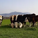 Inveraray Farm ベッド・アンド・ブレックファスト Beaufort