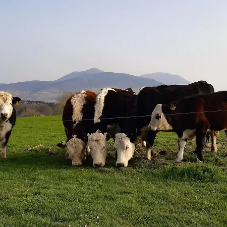 Inveraray Farm B&B 보퍼트