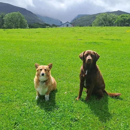 Bed & Breakfast Inveraray Farm Beaufort