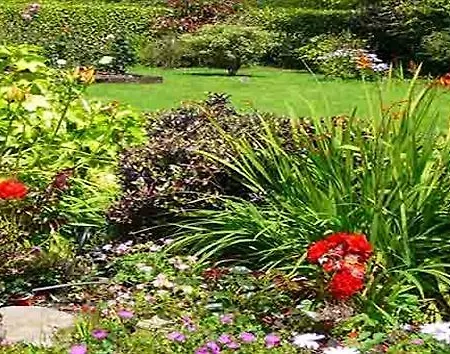 Bed and breakfast Inveraray Farm 3*