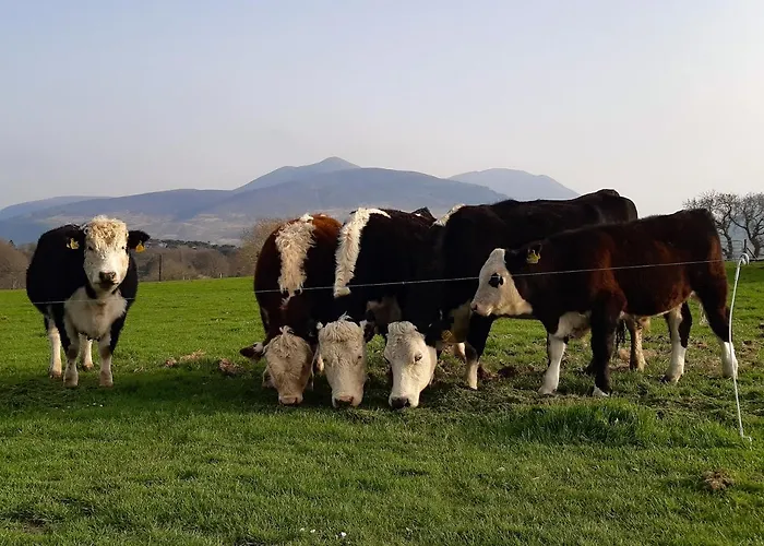 Inveraray Farm 住宿加早餐酒店 波弗特