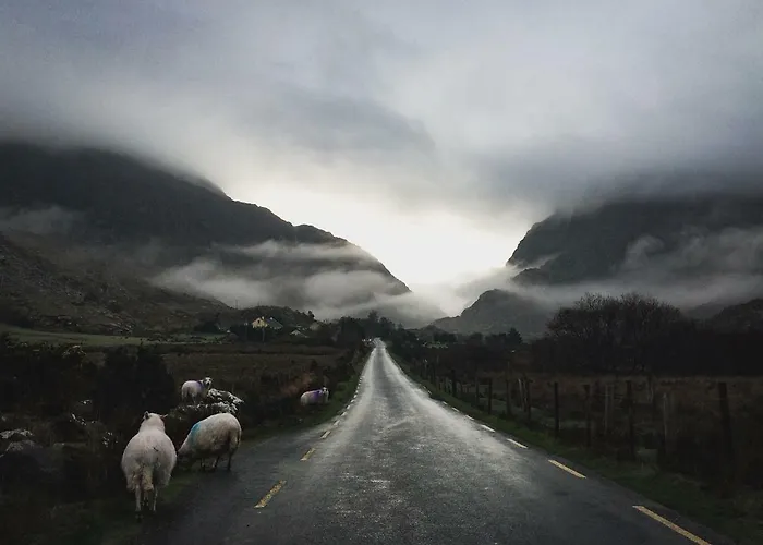 Inveraray Farm 波弗特