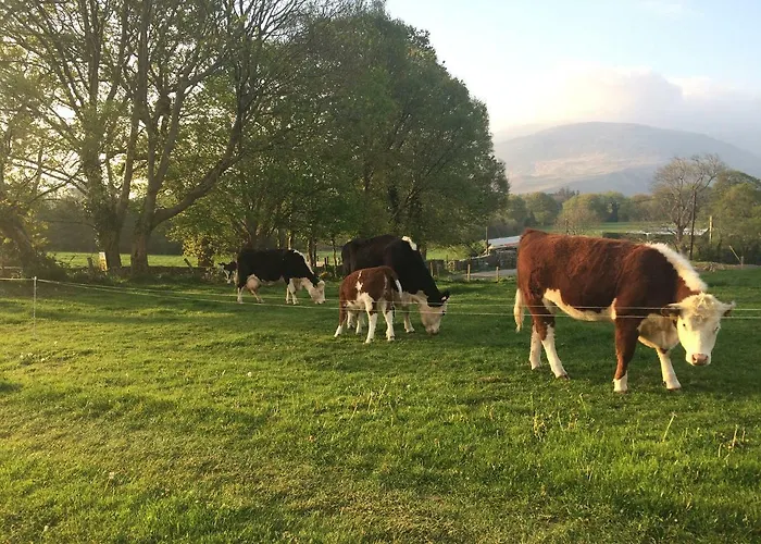 Inveraray Farm 3*